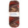 Lana Inca Multicolor Torrijo 80gr | Lana para Tejer y Crochet | Hilaturas Torrijo