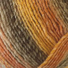 Lana Anna Multicolor 80g para punto y crochet | Torrijo