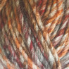 Lana Nature Multicolor Torrijo 80gr | Lana para Tejer y Crochet | Hilaturas Torrijo