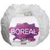 Boreal de Torrijo