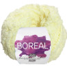 Boreal de Torrijo