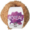 Boreal de Torrijo