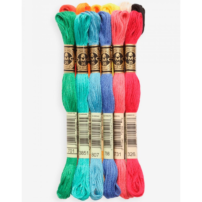 Pack de 12 hilos Mouliné colores PASION - DMC