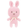 Anchor Renee La Lapine mini kit Amigurumi