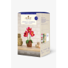 Kit amigurumi Tiesto de Flores - DMC