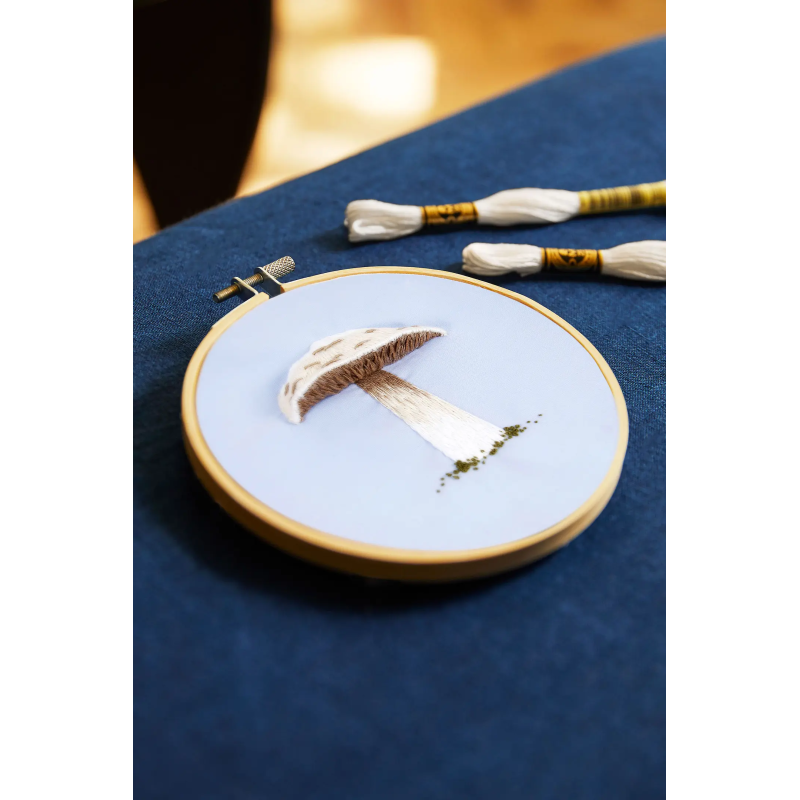Kit de bordado Seta Príncipe por Pippa Haynes - DMC
